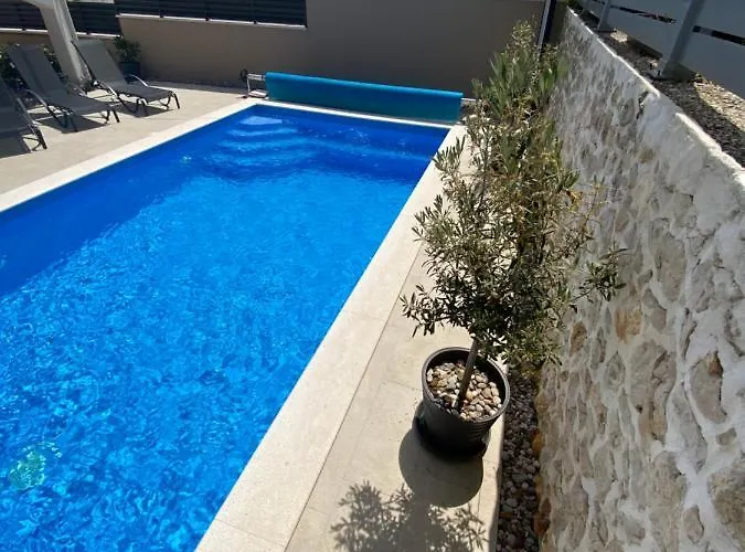 Mima 돈제페트레케인